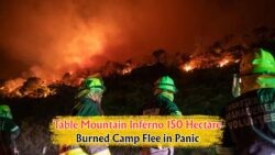 July Blaze Ravages Table Mountain: Massive Destruction Sparks Urgent Evacuation Alert