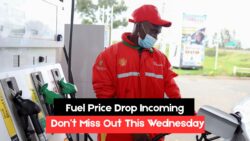 Petrol and Diesel Rates Reduced From Wednesday – Authorities Confirms Province Wise July Fuel Relief Plan