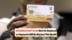 Unlock Your R500 Boost on 14 July: How SASSA Gold Card Holders Can Secure Their Extra Grant