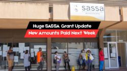 SASSA Revised Grant Amounts and Payout Timeline for Next Week - SASSA Beneficiaries Take Note