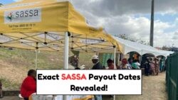 Discover the Complete SASSA Payment Calendar for August–September: Key Dates & Categories Unveiled!